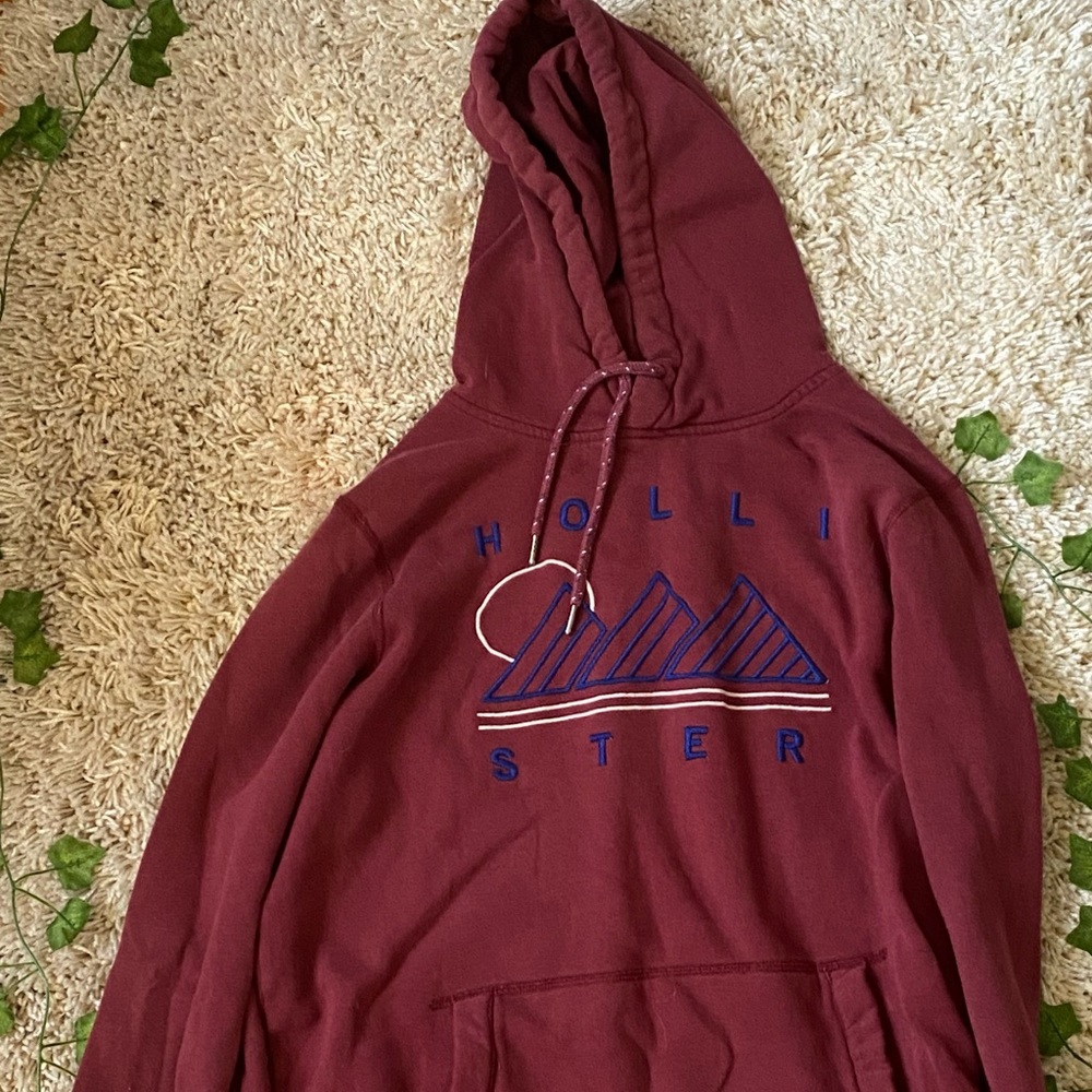Hollister hoodie